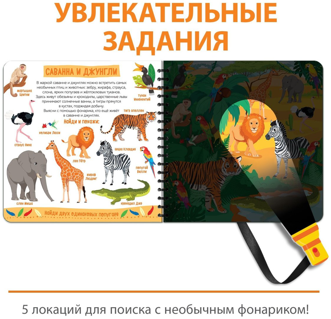 Книга Е.Сачкова: Зооленд купить,NaN