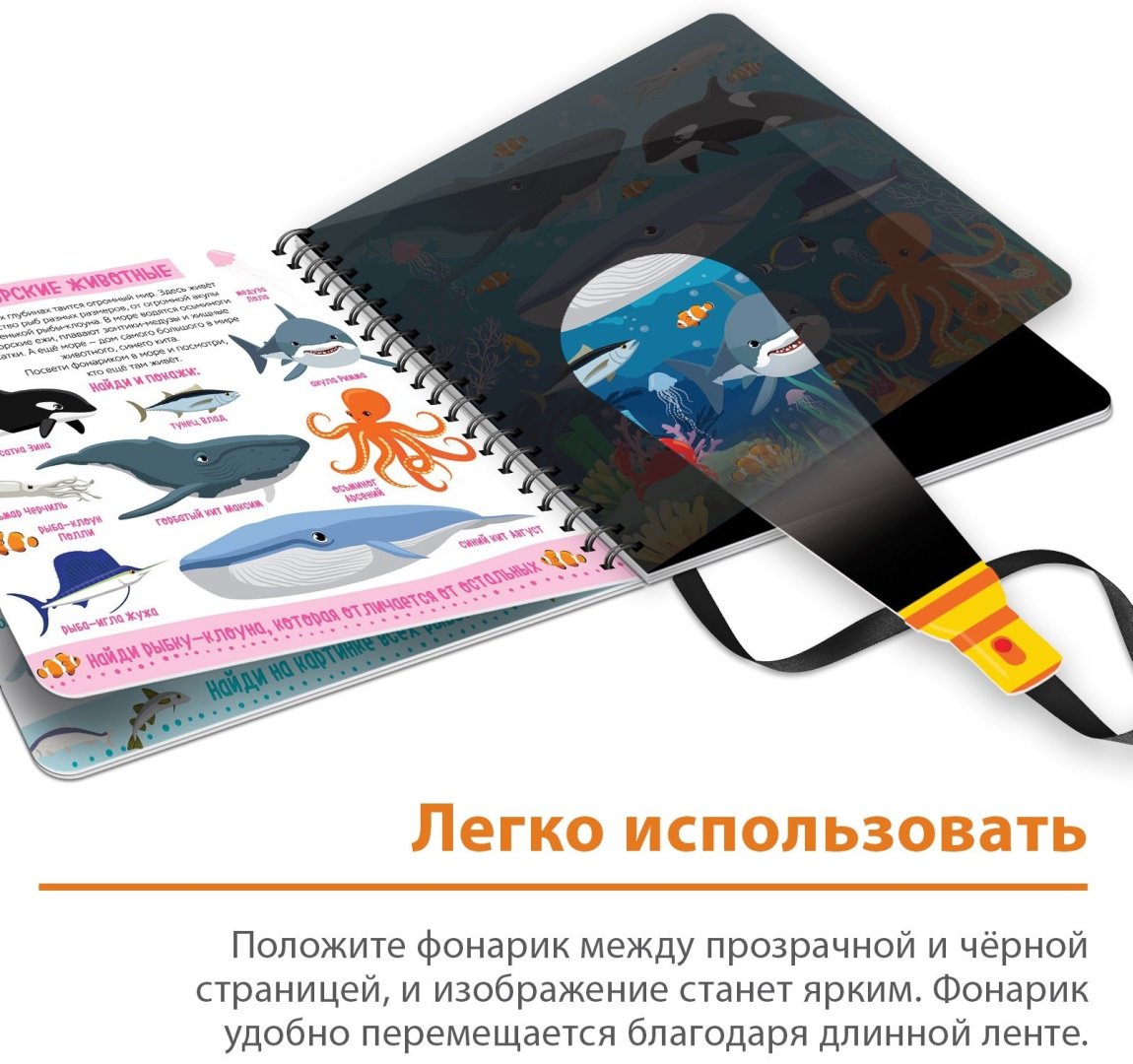 Книга Е.Сачкова: Зооленд купить,NaN