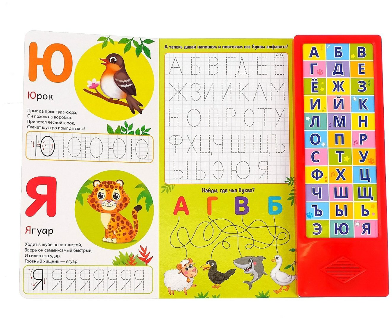 Книга Е.Сачкова: Азбука в стихах купить,NaN