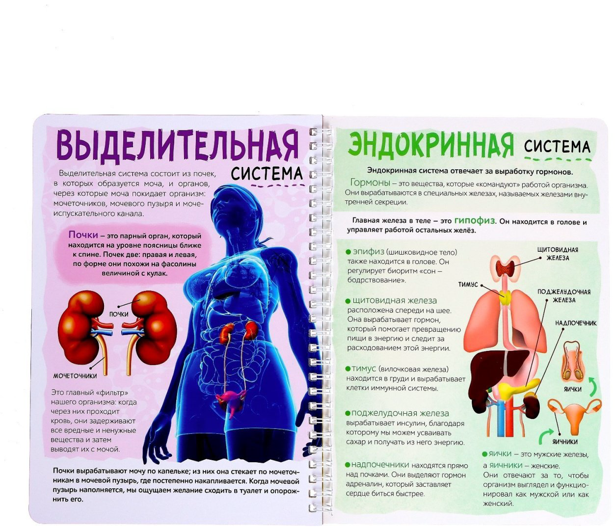 Книга Бажева А.: Мое тело купить,NaN