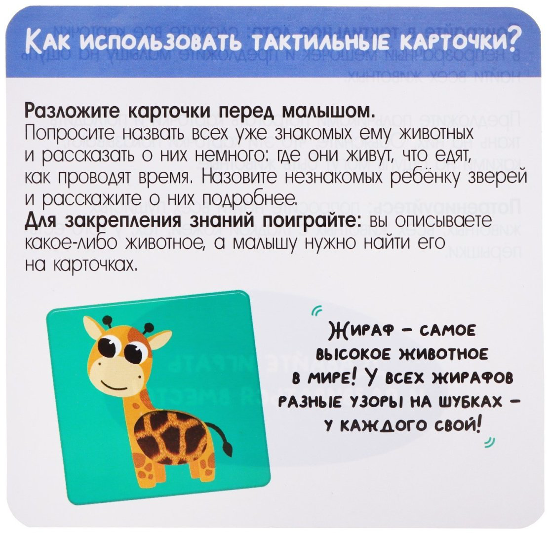 Книга Без автора: Животные Африки купить,NaN