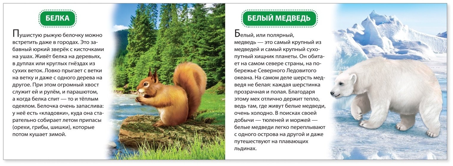 Книга Е.Сачкова: Узнаём про всё вокруг купить,NaN