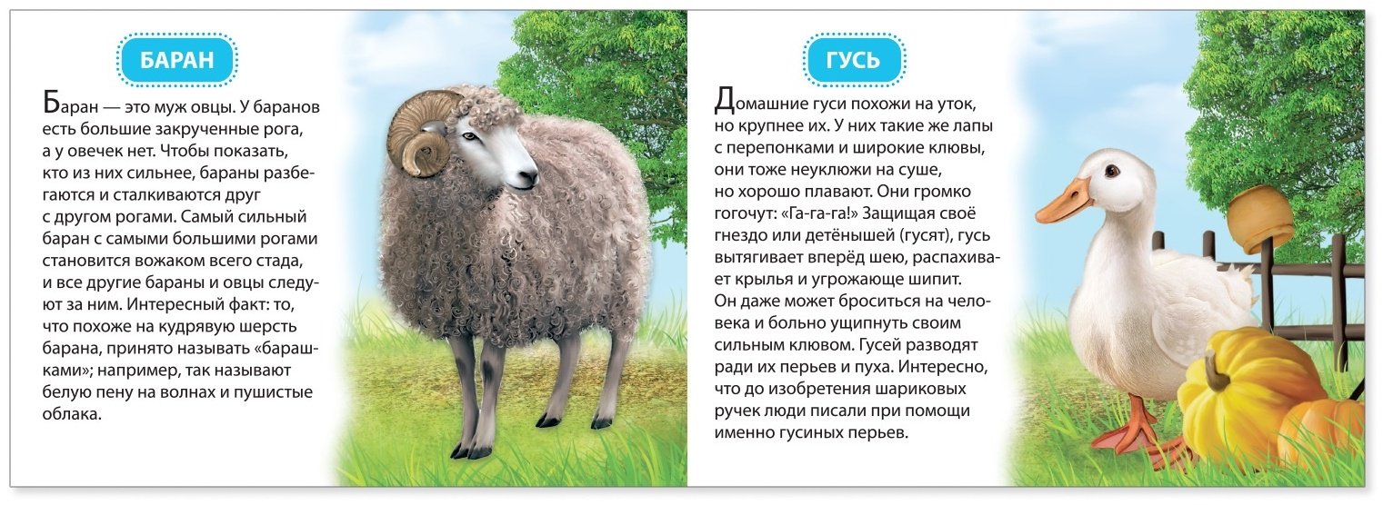 Книга Е.Сачкова: Узнаём про всё вокруг купить,NaN