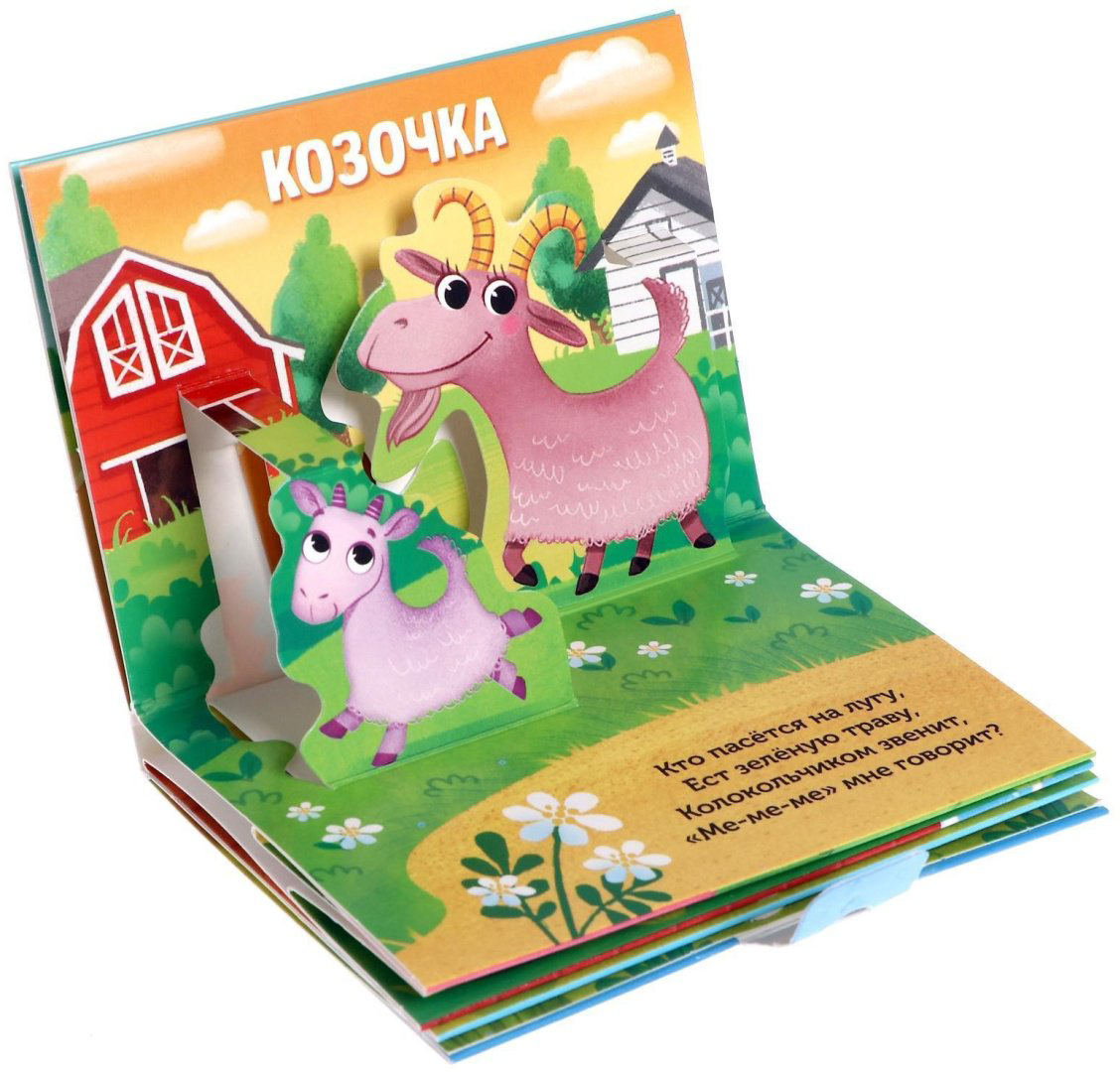 Книга Е.Сачкова: Животные леса и зоопарка купить,NaN