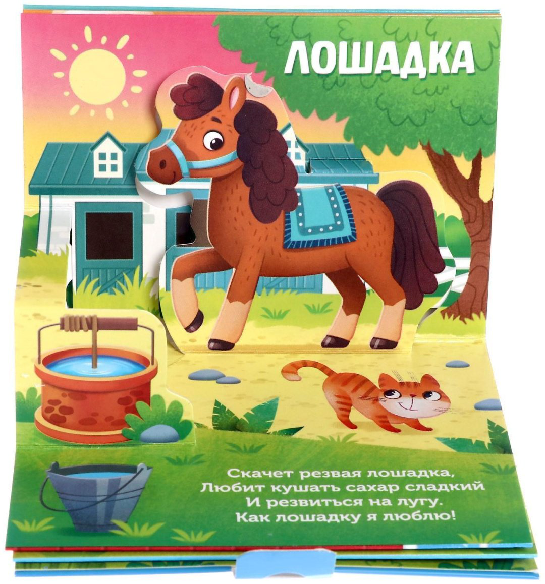 Книга Е.Сачкова: Животные леса и зоопарка купить,NaN
