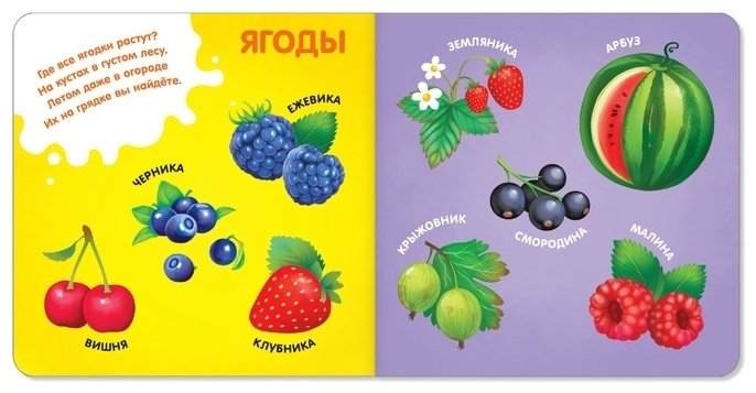 Книга Фрукты, овощи и не только купить,1200