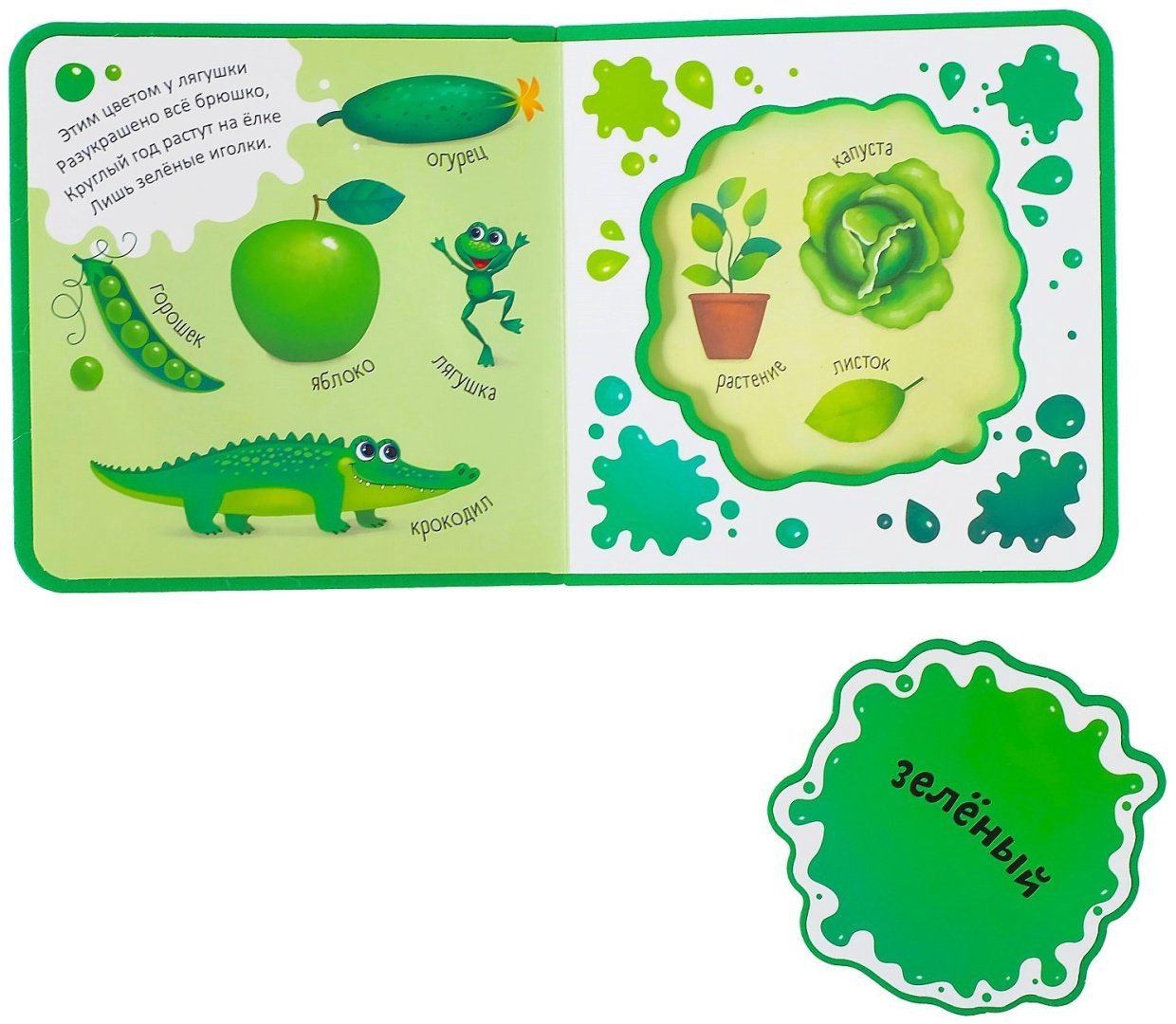 Книга Сачкова Е.: Изучаю цвета купить,NaN