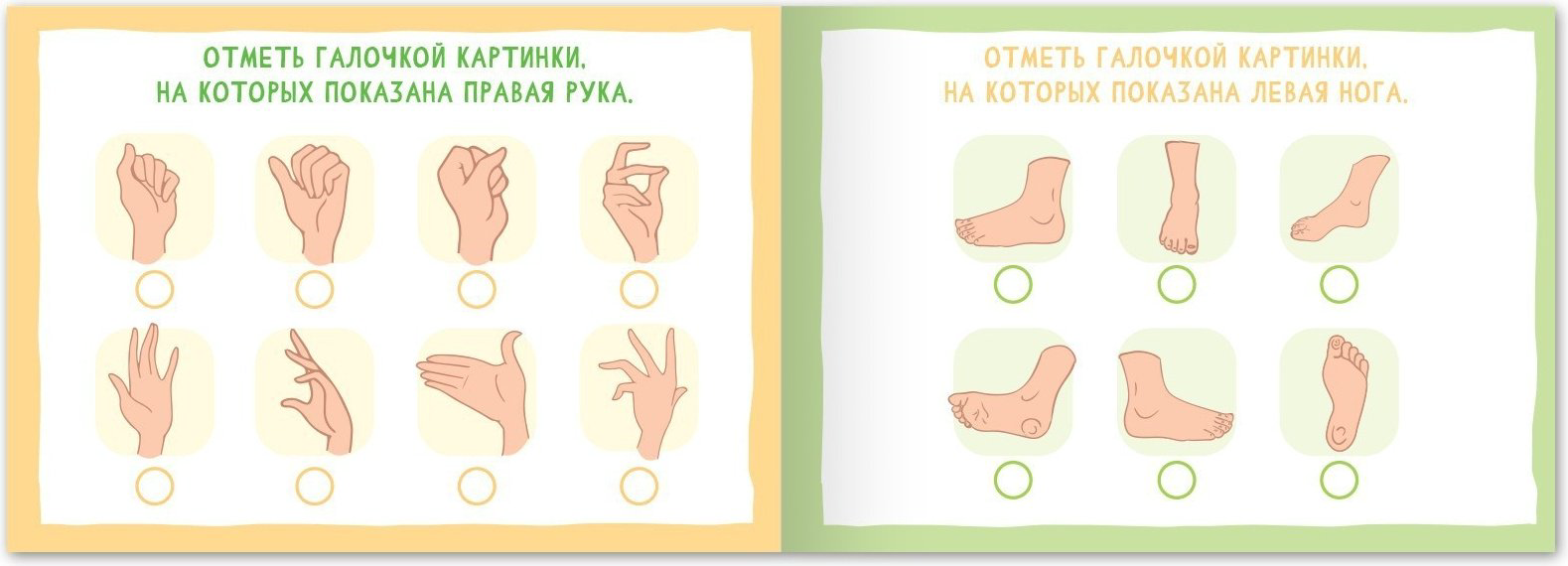 Книга Е.Сачкова: Найди лишнее и найди общее купить,NaN