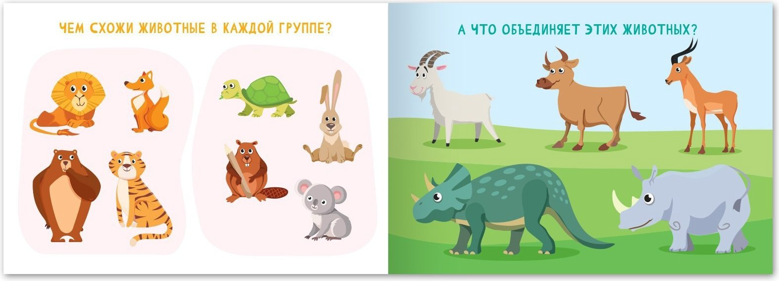 Книга Е.Сачкова: Найди лишнее и найди общее купить,NaN