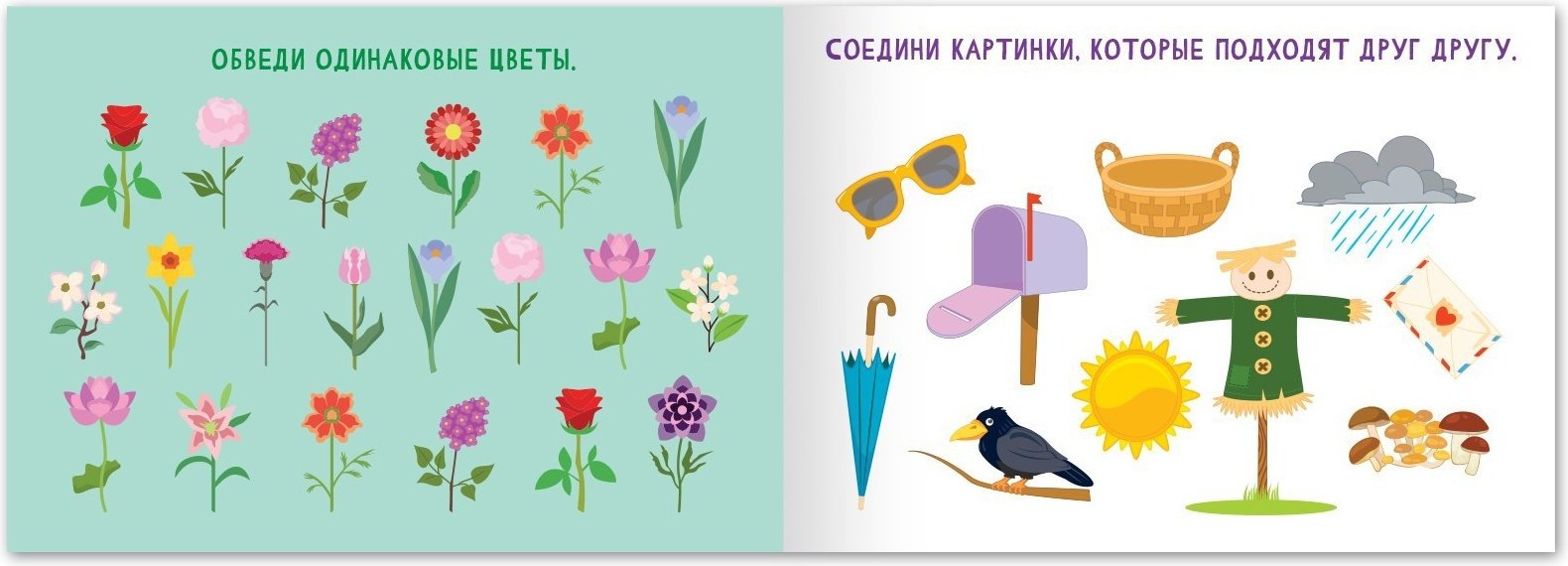 Книга Е.Сачкова: Найди лишнее и найди общее купить,NaN