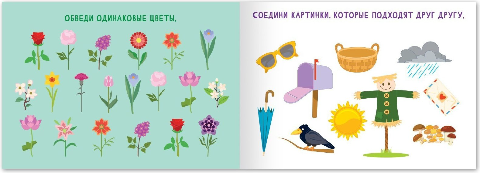 Книга Е.Сачкова: Найди лишнее и найди общее купить,NaN