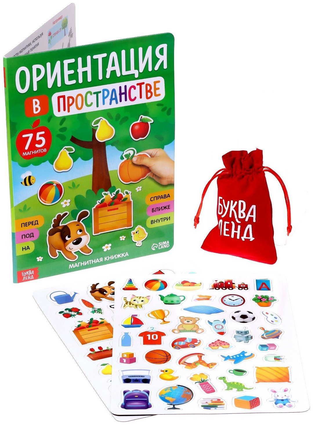 Книга Е.Сачкова: Ориентация в пространстве купить,NaN