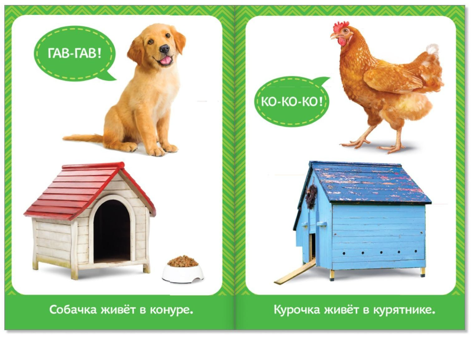 Книга Е.Сачкова: Школа талантов купить,NaN