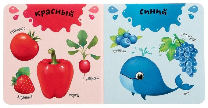 Книга Сачкова Е.: Изучаем цвета 3928886 купить,NaN