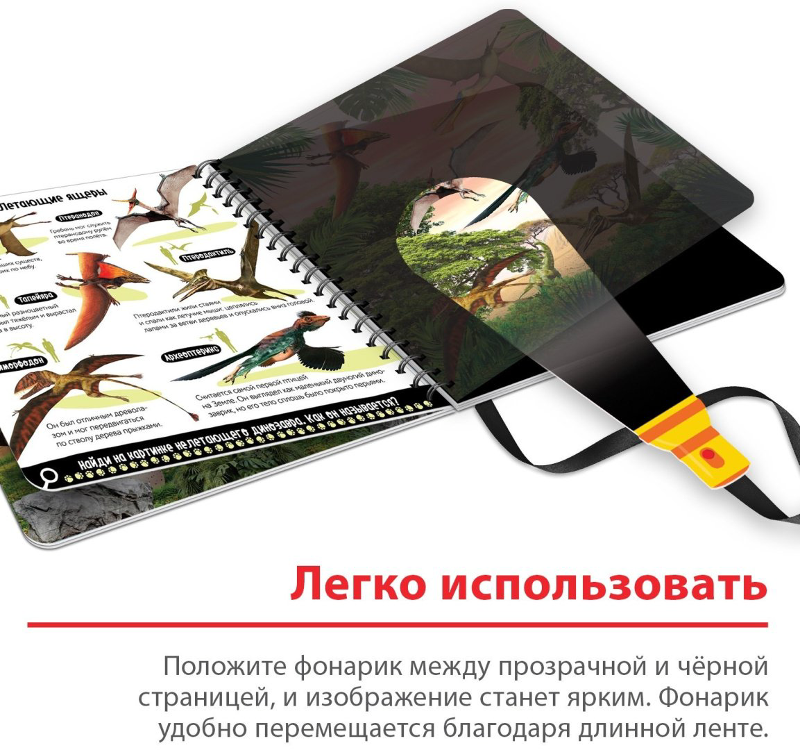 Книга Е.Сачкова: Диноленд купить,NaN