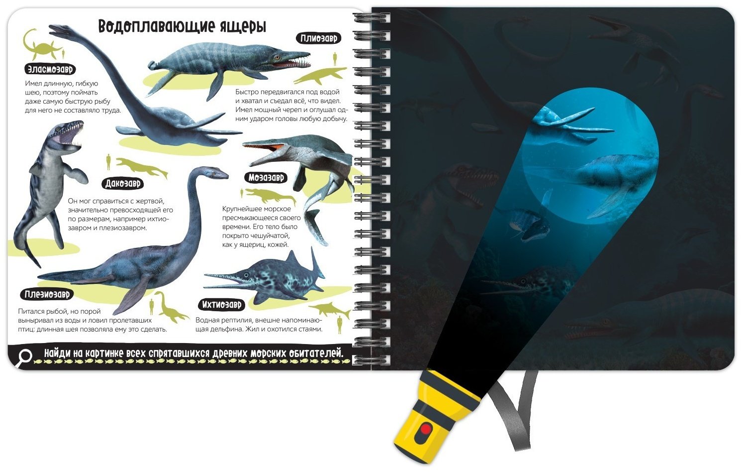 Книга Е.Сачкова: Диноленд купить,NaN