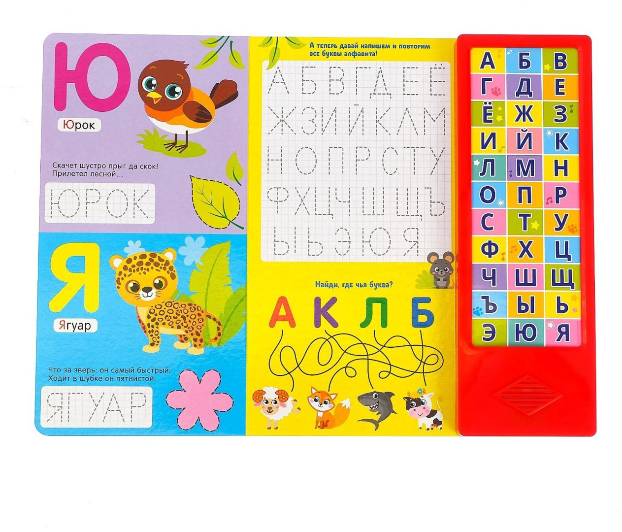 Книга Е.Сачкова: Весёлый алфавит купить,NaN
