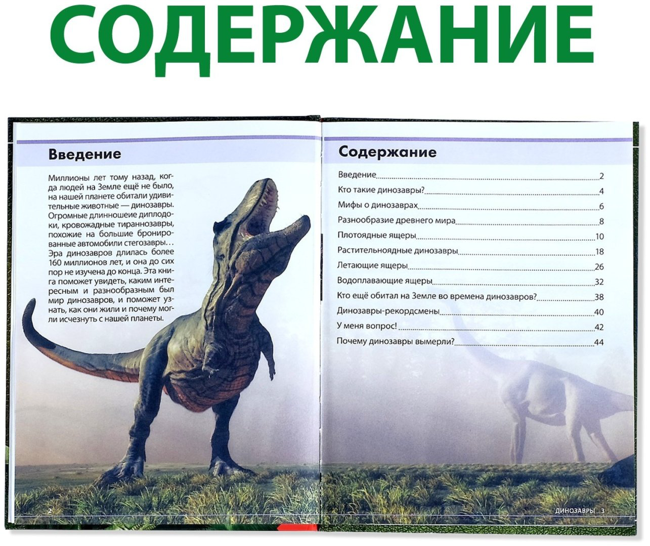 Книга Е.Сачкова: Удивительные динозавры купить,1799