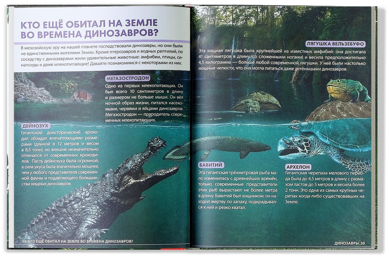 Книга Е.Сачкова: Удивительные динозавры