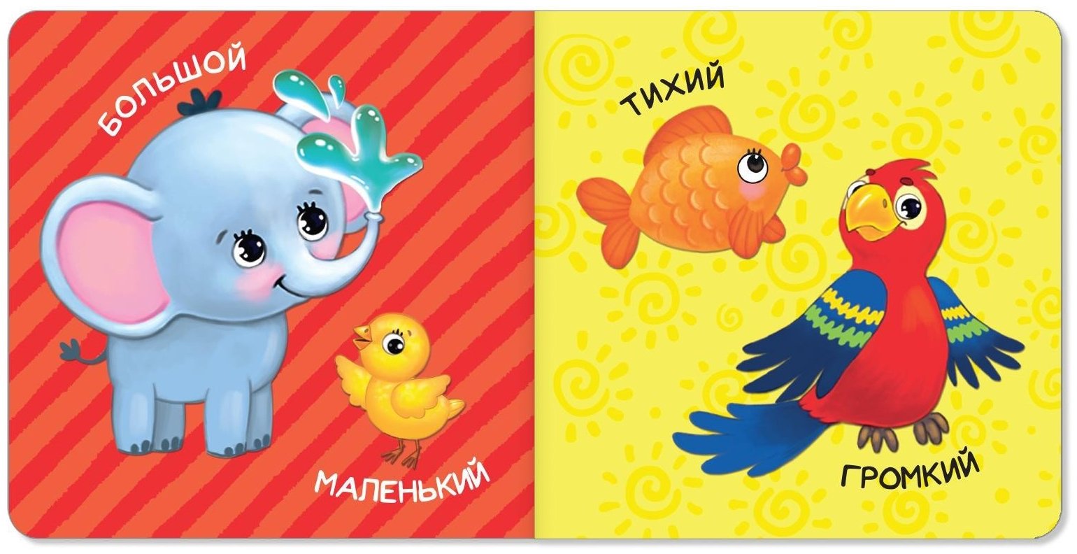Книга Е.Сачкова: Обучающие купить,NaN