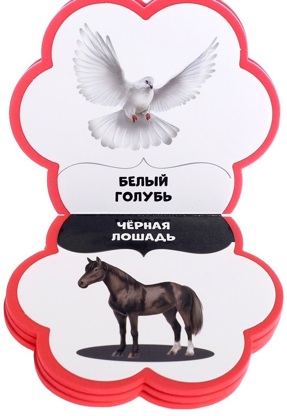 Книга Сачкова Е. К.: Учим цвета купить,NaN