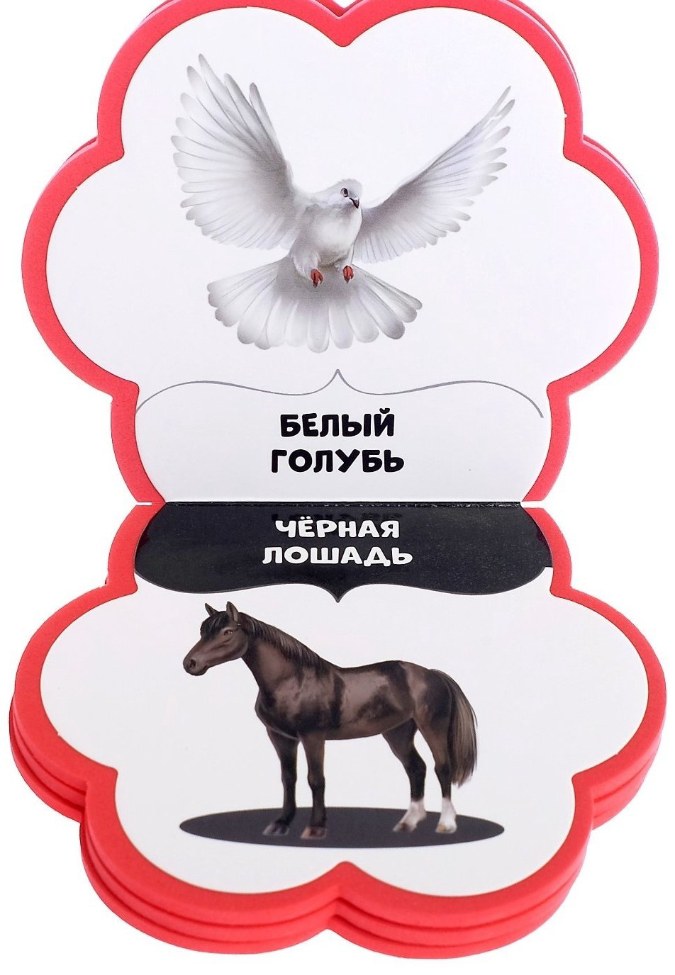 Книга Сачкова Е. К.: Учим цвета купить,NaN