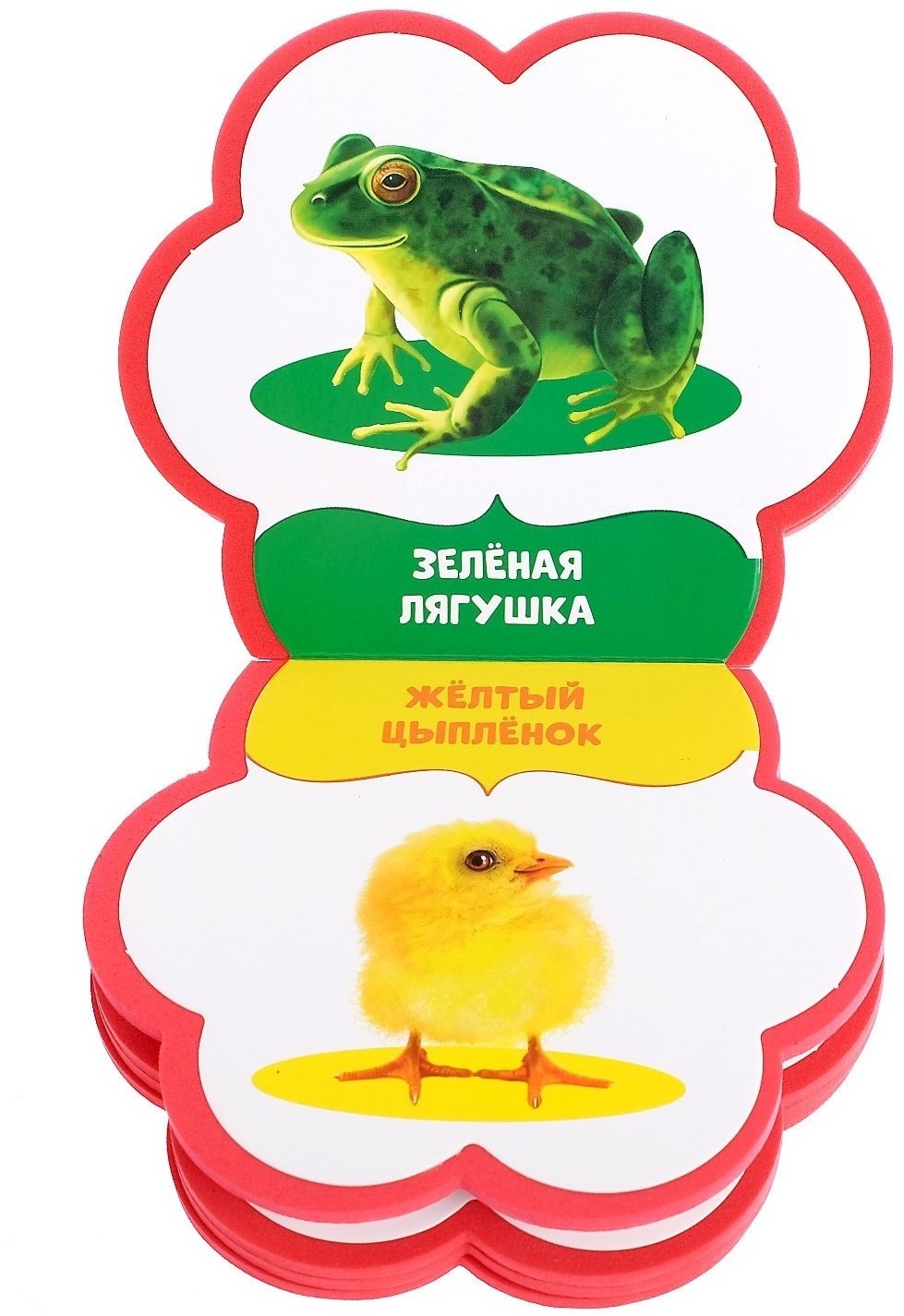 Книга Сачкова Е. К.: Учим цвета купить,NaN