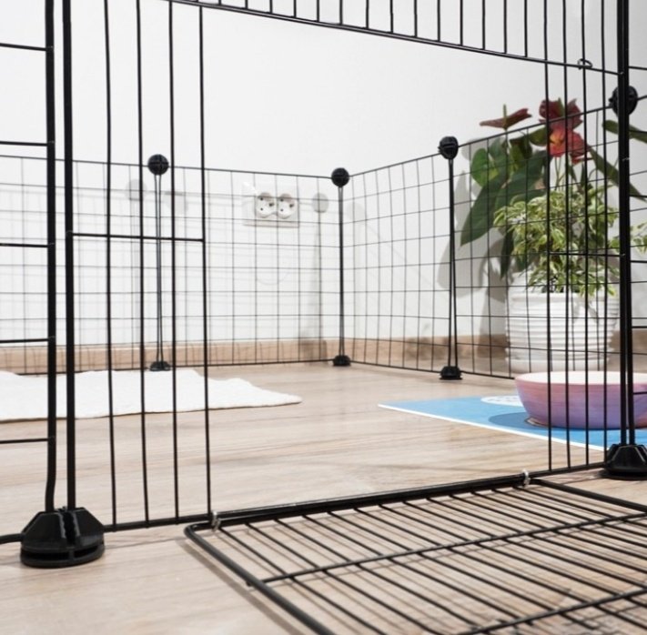 Пижон вольер 7472677 черный - ForteMarket Пижон вольер 7472677 черный купить,function inputValueFn(){if((0,signal2.mK)(node),node.value===REQUIRED_UNSET_VALUE)throw new root_effect_scheduler.buA(-950,null);return node.value}