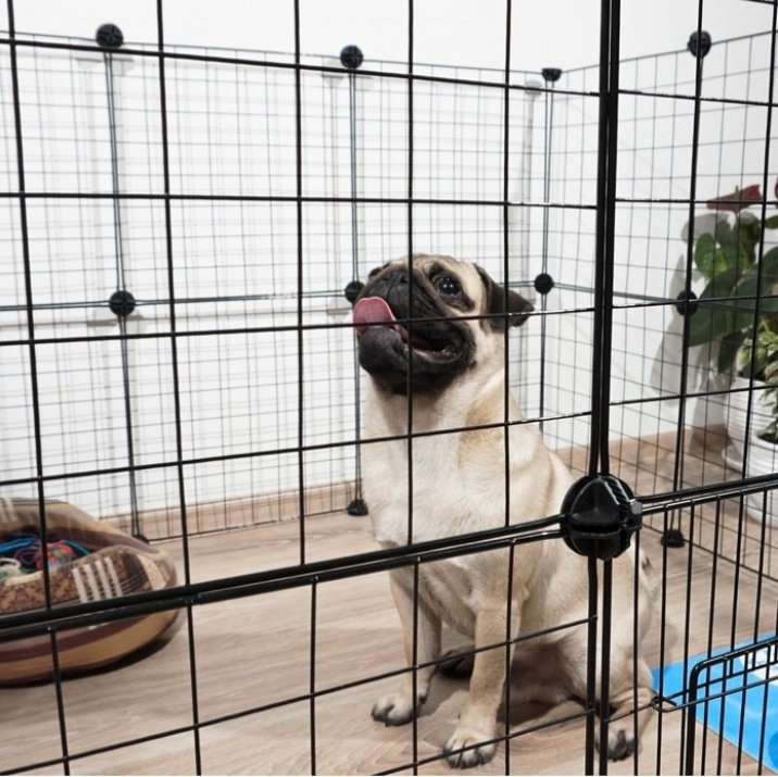 Пижон вольер 7472677 черный - ForteMarket Пижон вольер 7472677 черный купить,function inputValueFn(){if((0,signal2.mK)(node),node.value===REQUIRED_UNSET_VALUE)throw new root_effect_scheduler.buA(-950,null);return node.value}