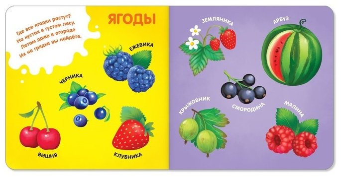 Книга Книги картонные набор «Знакомимся с окружающим миром»
