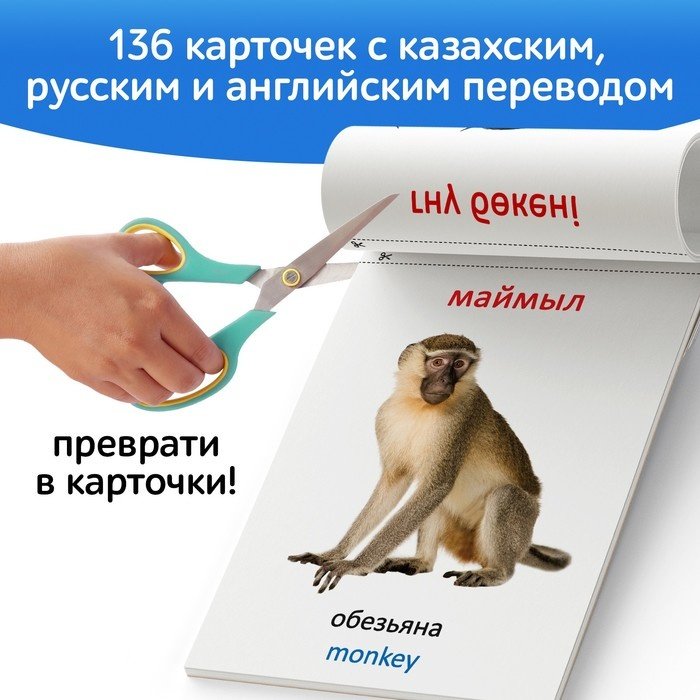 Книга Без автора: Набор книг по методике Г. Домана