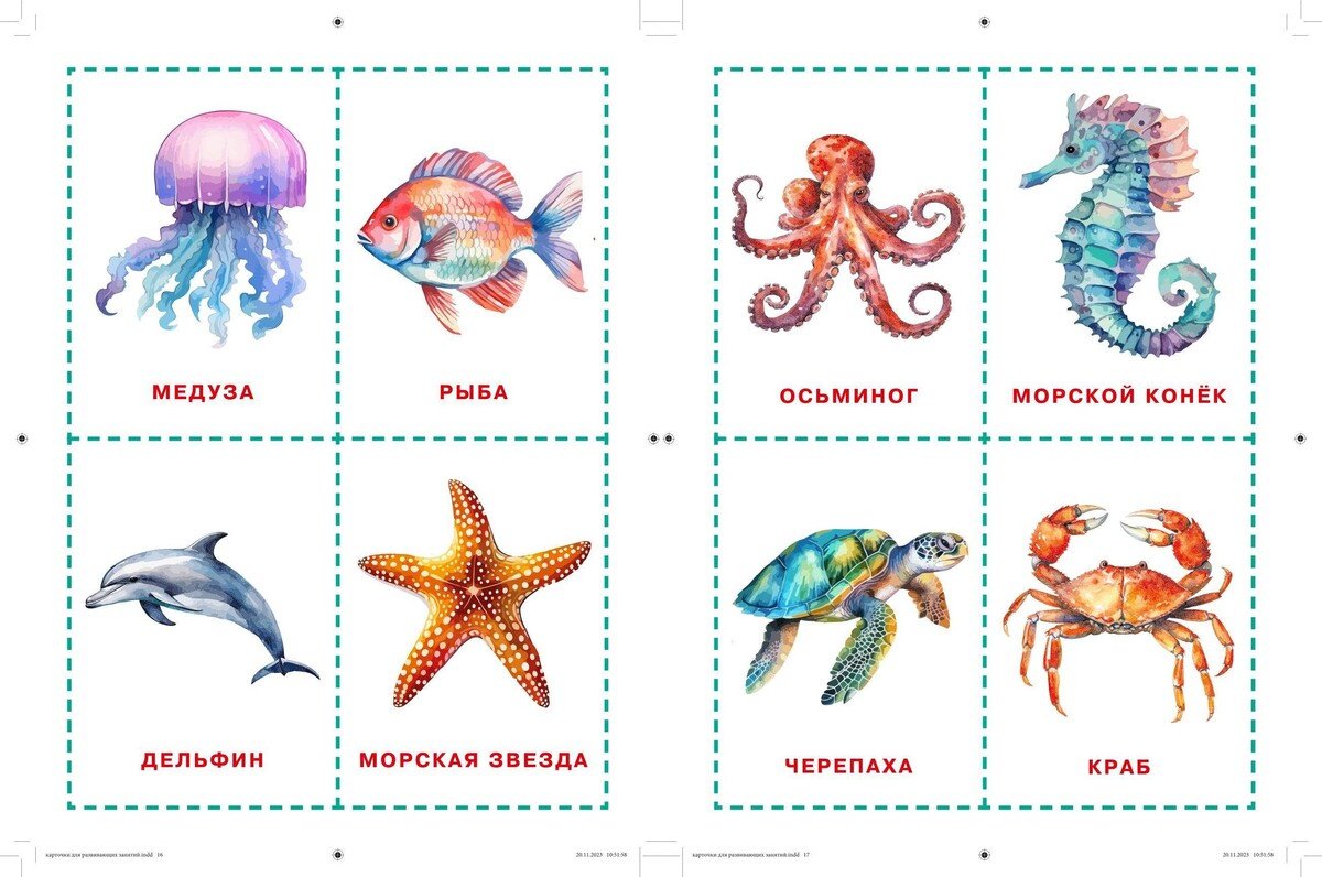 Книга Нет автора: Карточки для нейротренировки по методике Гленна Домана: с 6 месяцев купить,NaN