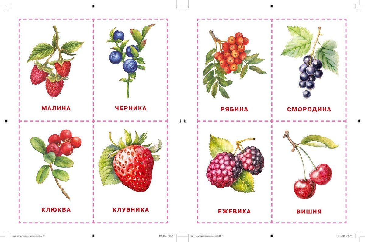 Книга Нет автора: Карточки для нейротренировки по методике Гленна Домана: с 6 месяцев купить,NaN