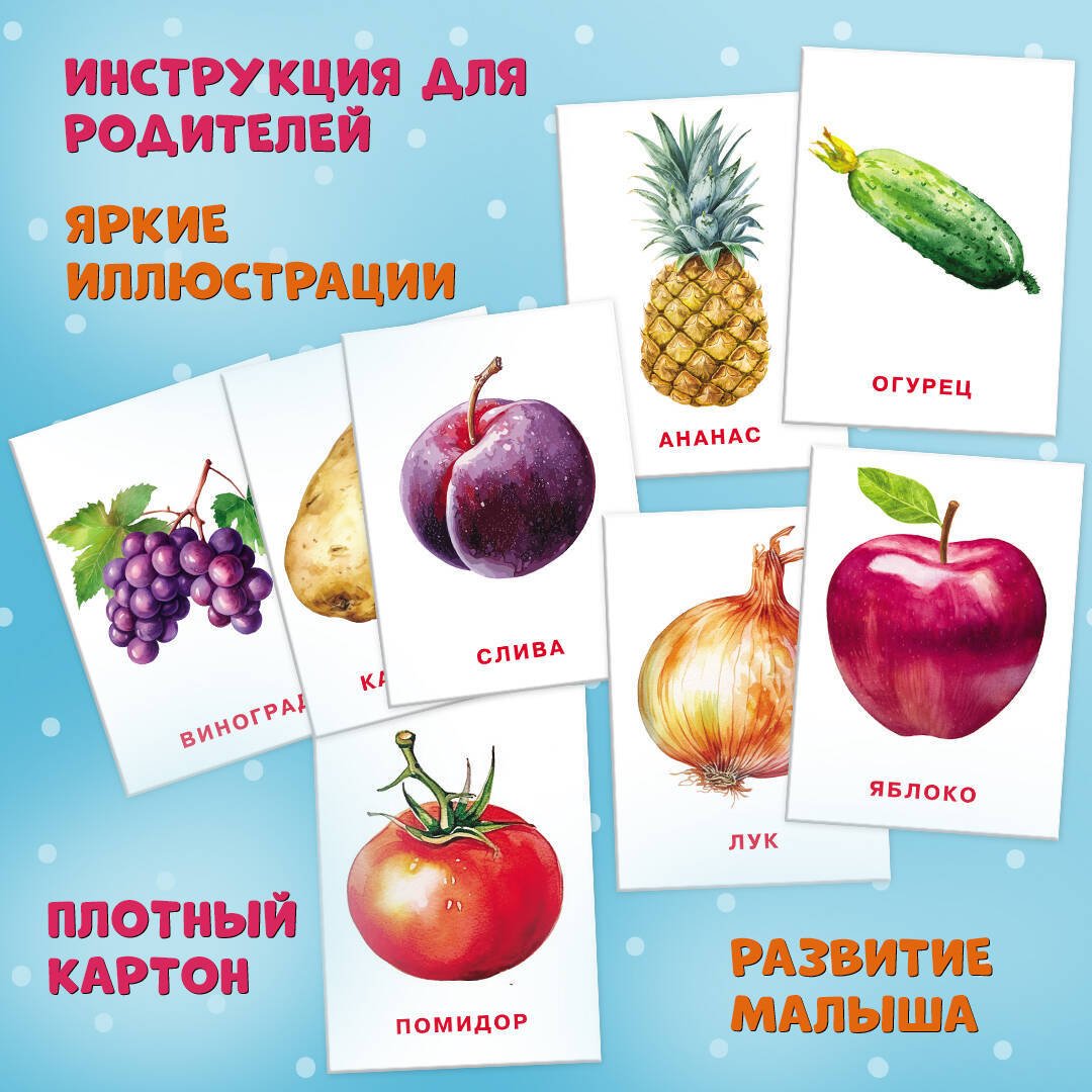 Книга Нет автора: Карточки для нейротренировки по методике Гленна Домана: с 6 месяцев купить,NaN