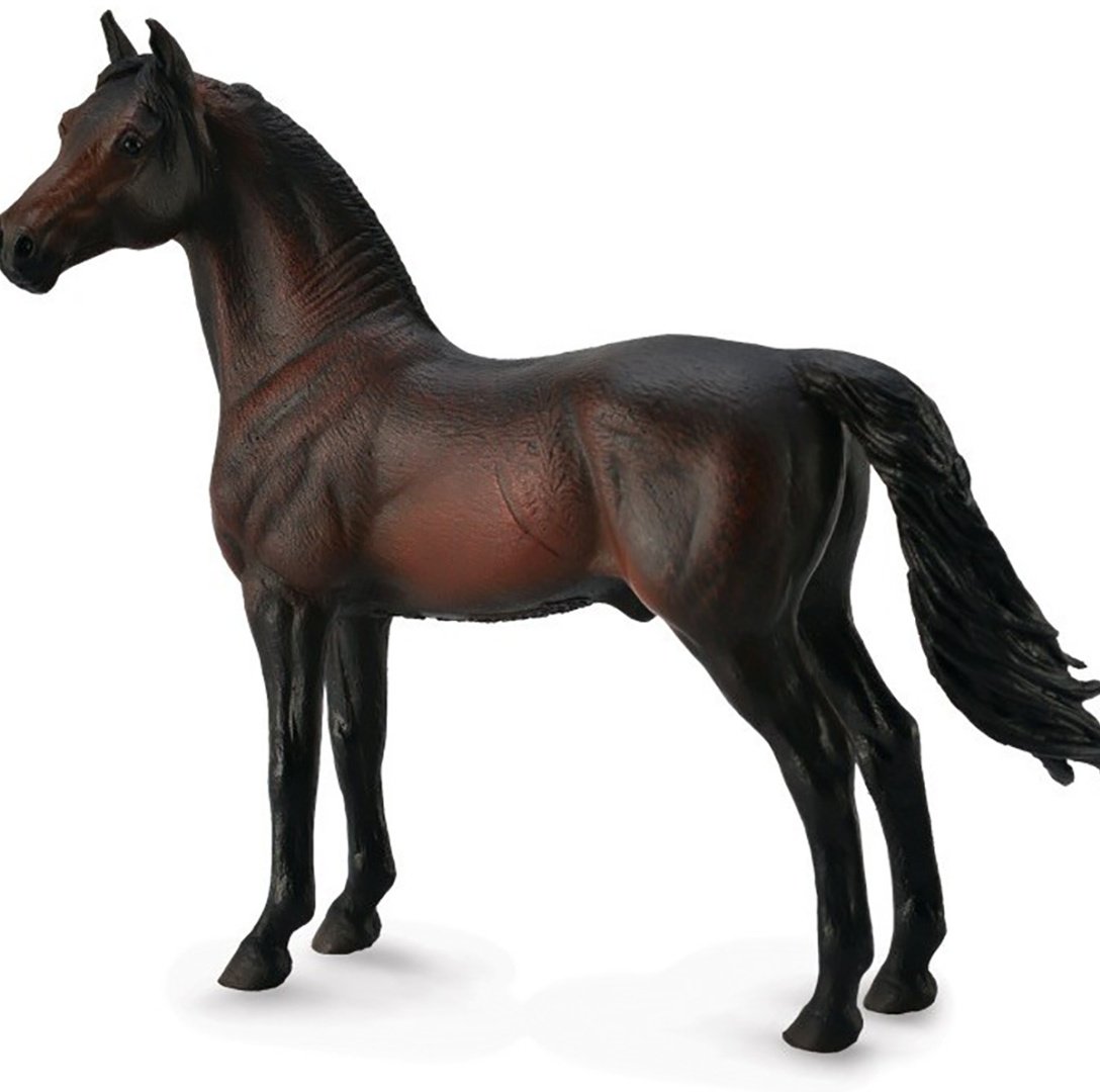 Collecta Жеребец Морган 12.9 см 1 шт купить,NaN