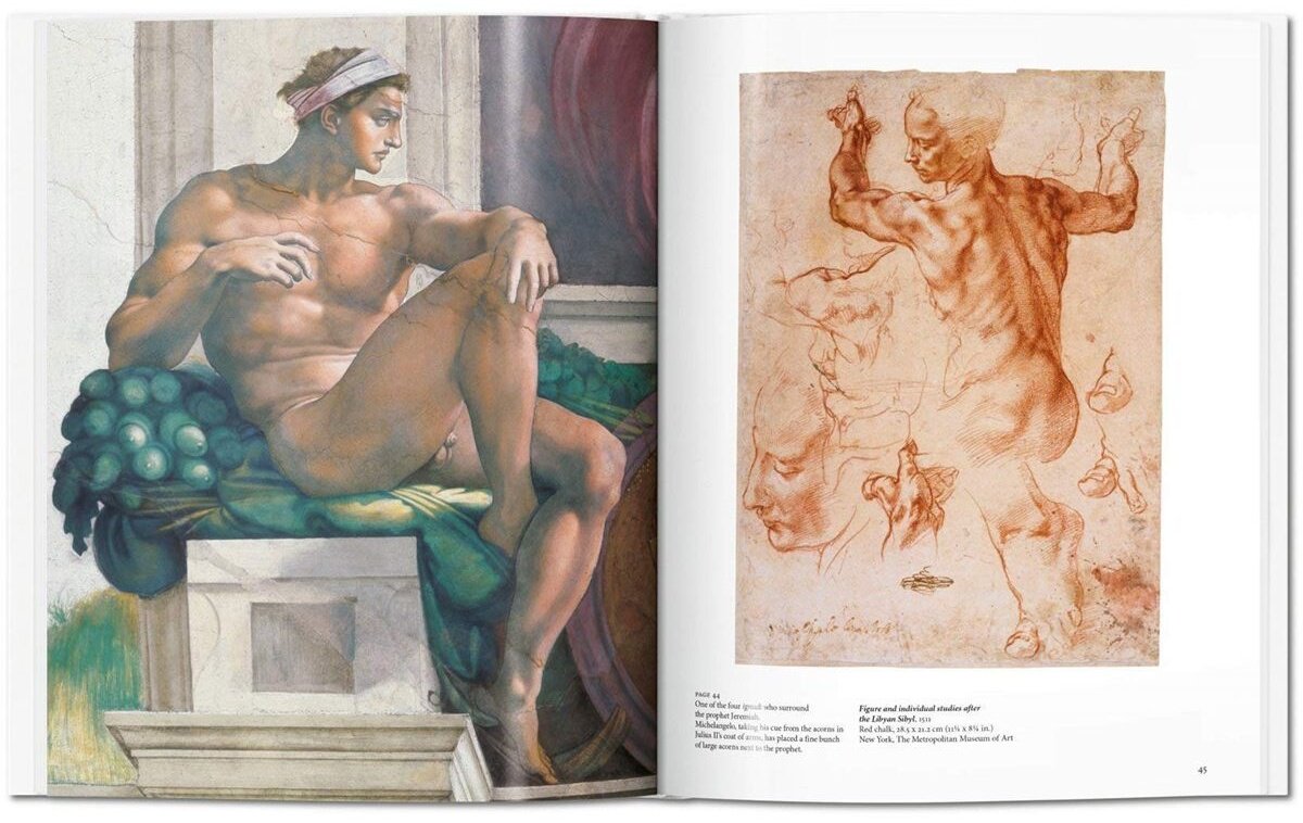 Книга Michelangelo купить,NaN