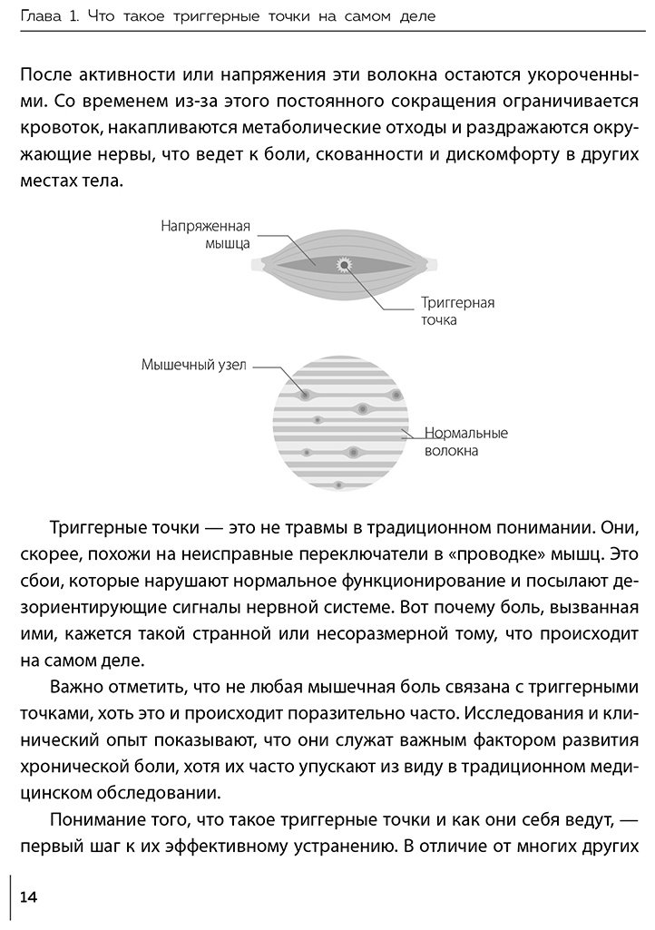 Книга Брандт М.: Брандт М.: Библия триггерных точек. Избавление от боли в мышцах и фасциях, коррекция осанки и улучшение подвижности суставов купить,NaN