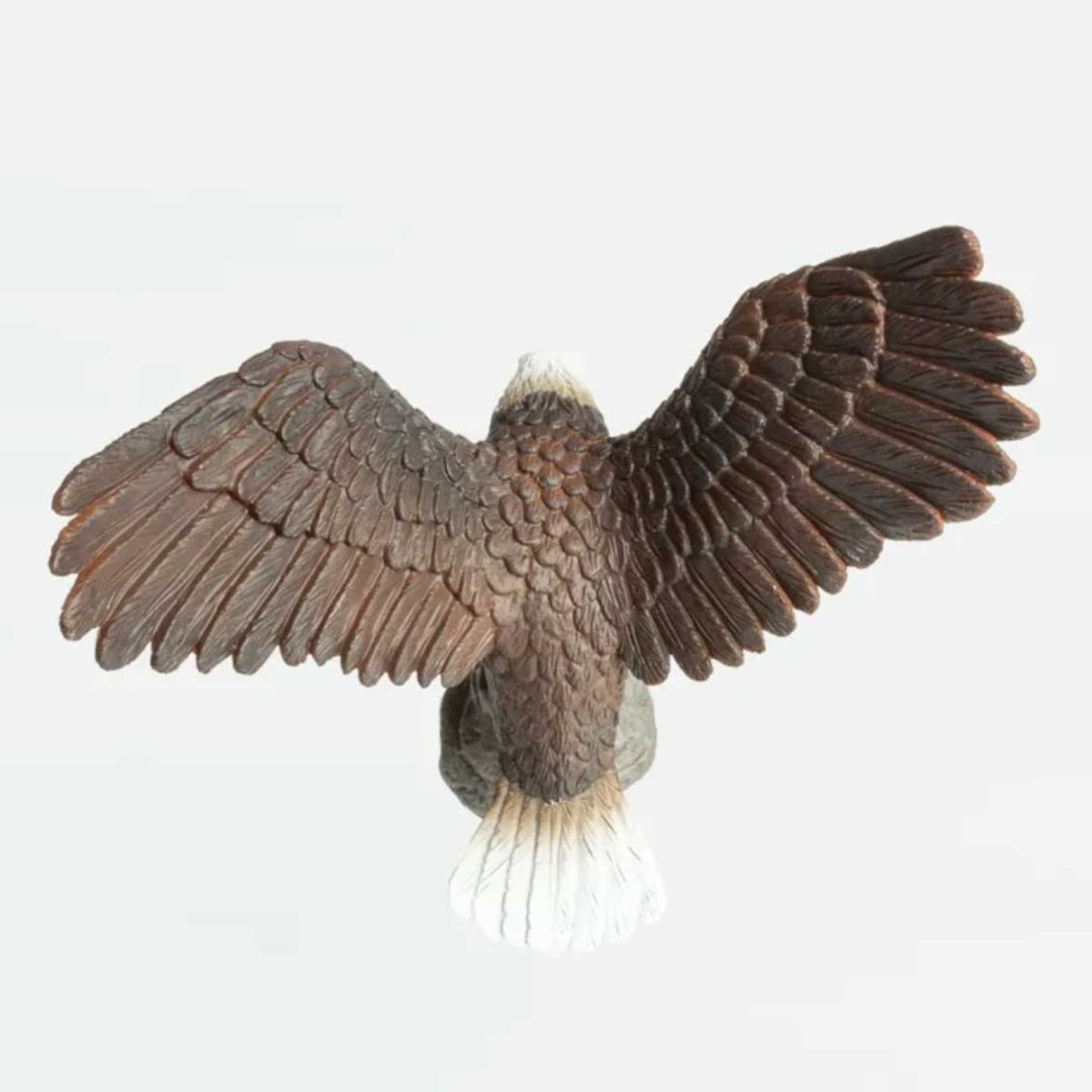 Collecta орел 9 см 1 шт купить,NaN