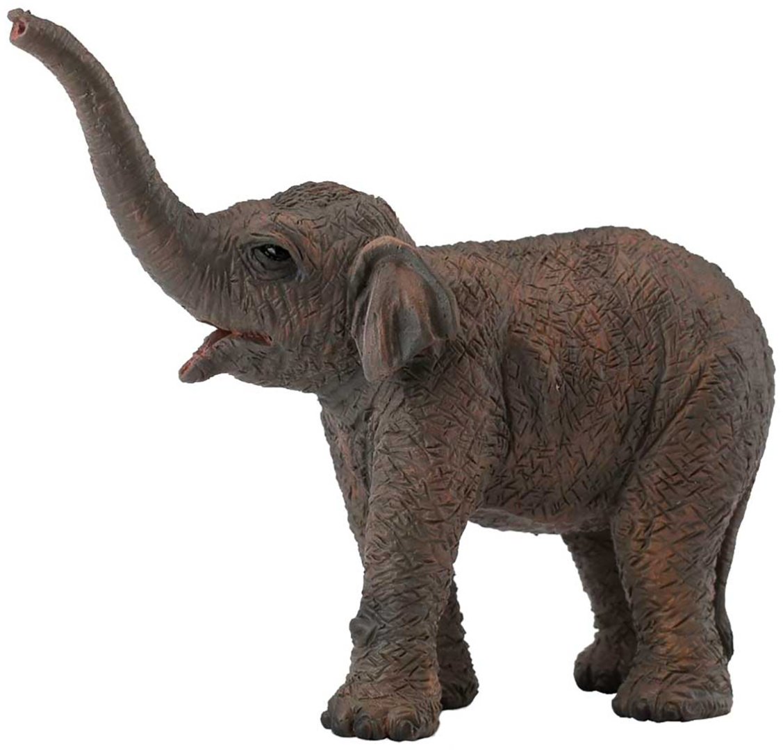 Collecta Азиатский слонёнок 8 см 1 шт купить,NaN