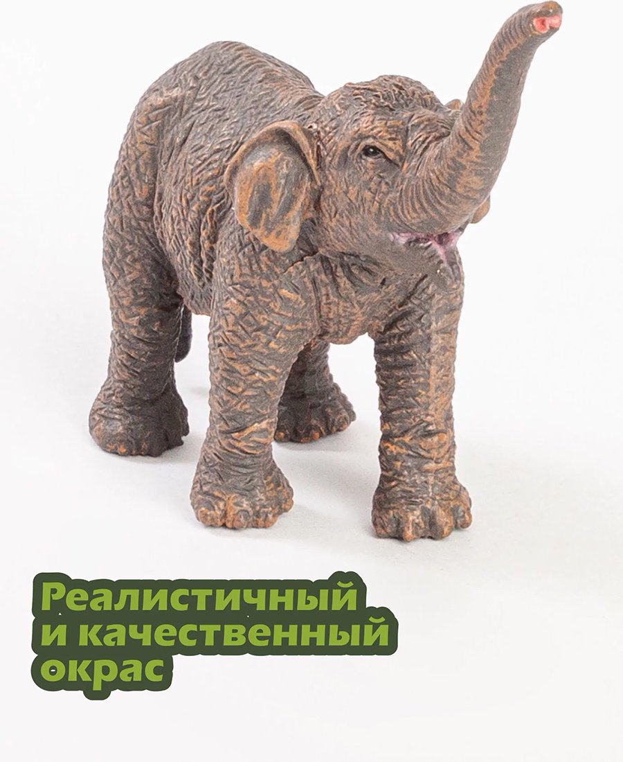 Collecta Азиатский слонёнок 8 см 1 шт купить,NaN