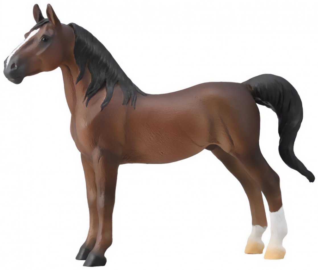 Collecta Лошадь Американский Шорный Жеребец 12.3 см 1 шт купить,NaN