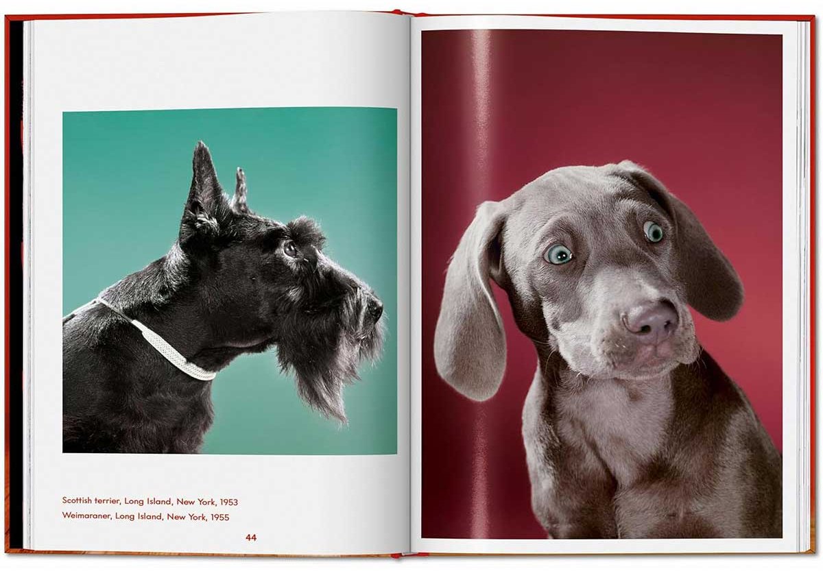 Книга Чандоха У.: Dogs. Photographs 1941–1991 купить,NaN