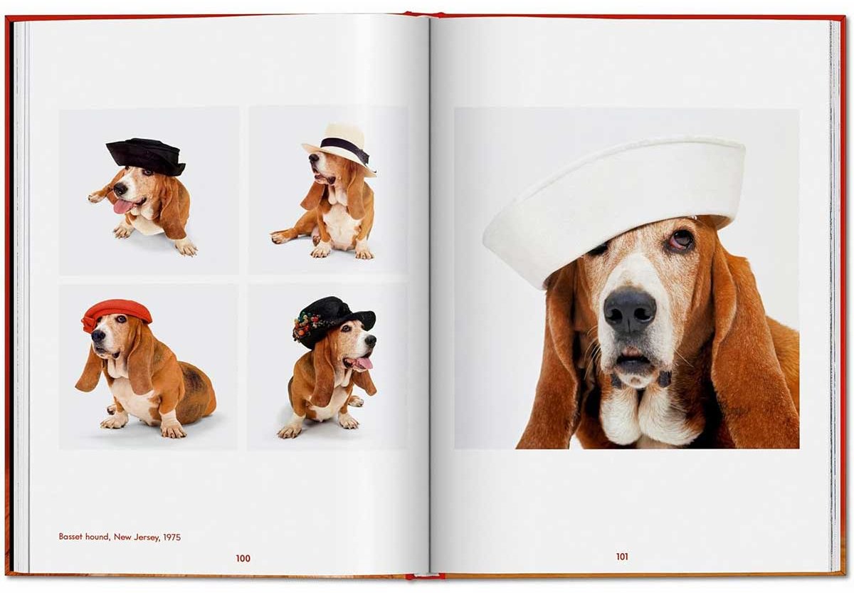 Книга Чандоха У.: Dogs. Photographs 1941–1991 купить,NaN