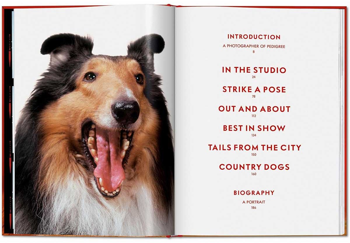 Книга Чандоха У.: Dogs. Photographs 1941–1991 купить,NaN