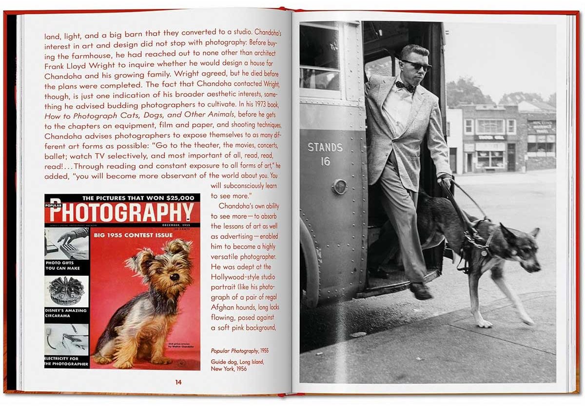 Книга Чандоха У.: Dogs. Photographs 1941–1991 купить,NaN