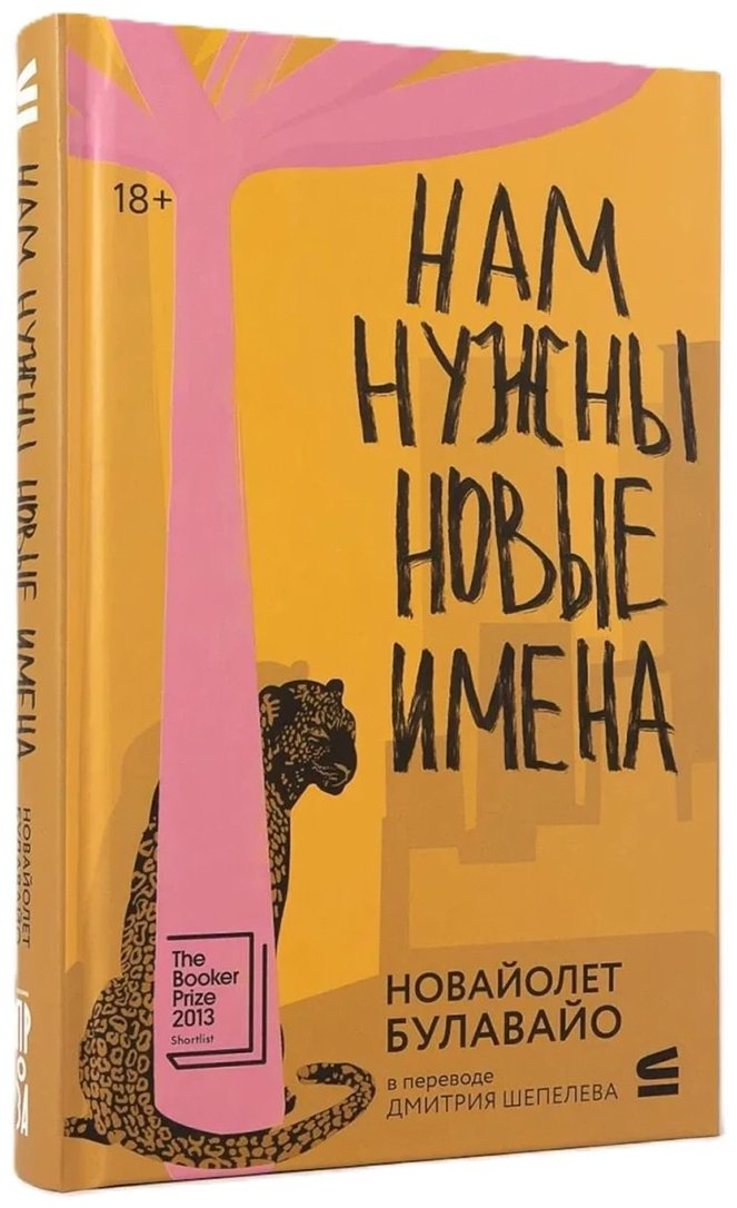 Книга Булавайо Н.: Нам нужны новые имена купить,NaN