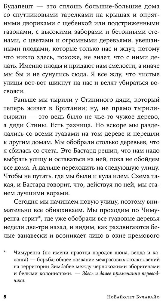Книга Булавайо Н.: Нам нужны новые имена купить,NaN