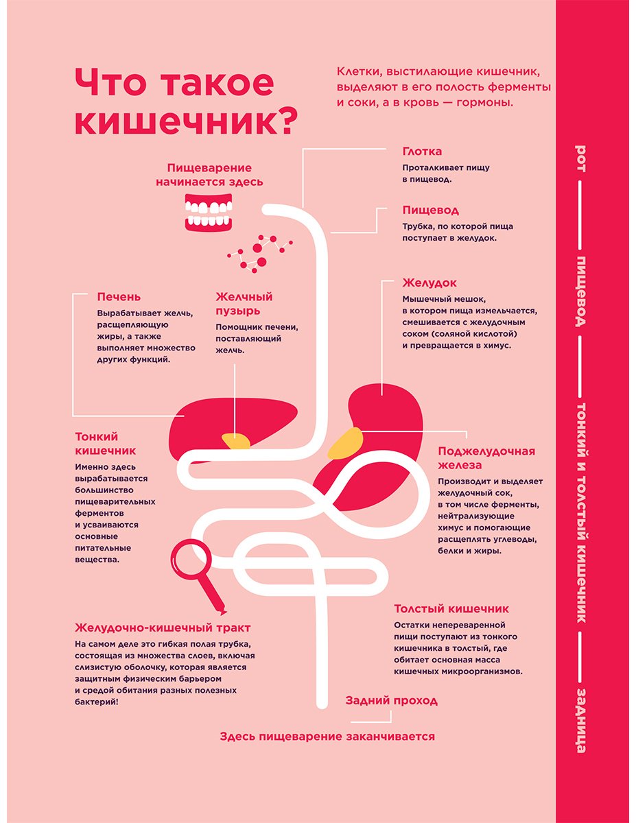 Книга Макфарлейн А., Макфарлейн Л.: Ох уж этот кишечник. Путеводитель по пищеварительному тракту и его обитателям купить,NaN