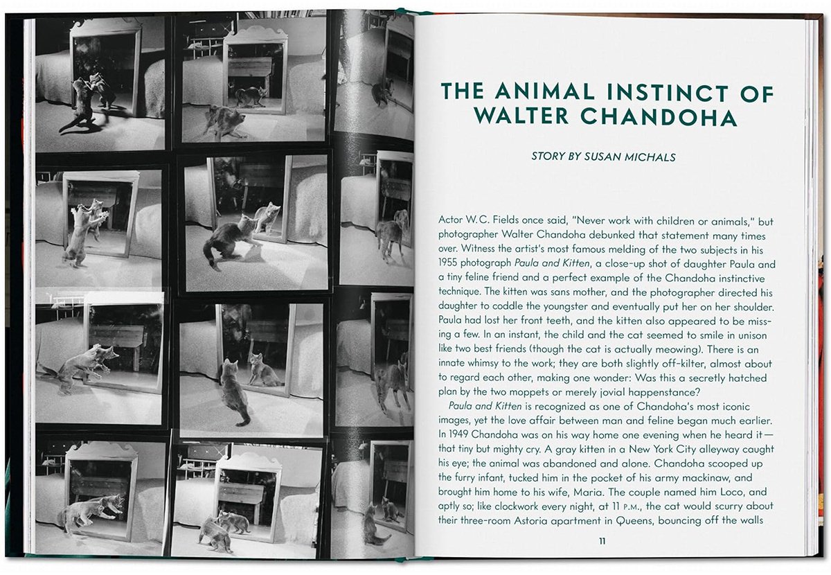Книга Без автора: Walter Chandoha. Cats. Photographs 1942-2018 купить,NaN