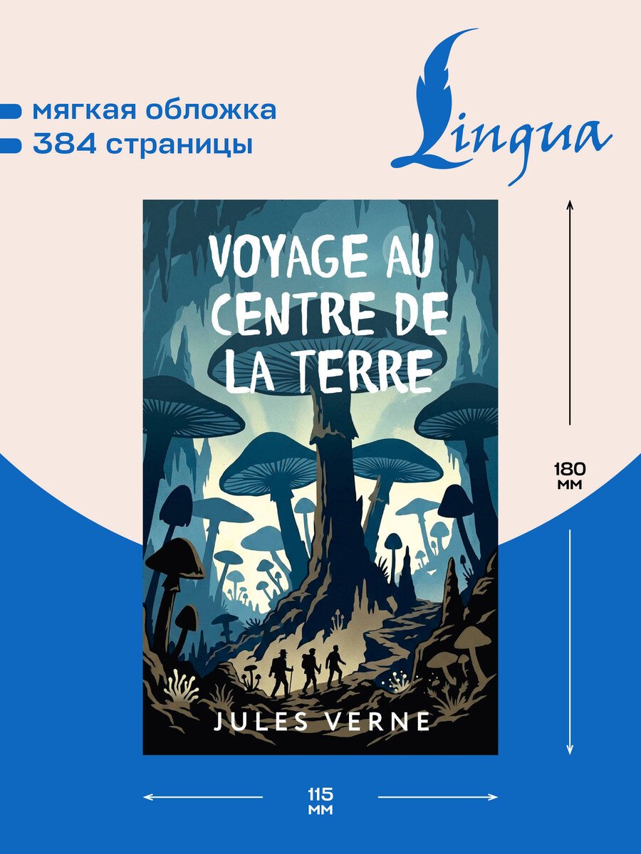Книга Верн Ж.: Verne J.: Voyage au centre de la Terre купить,NaN